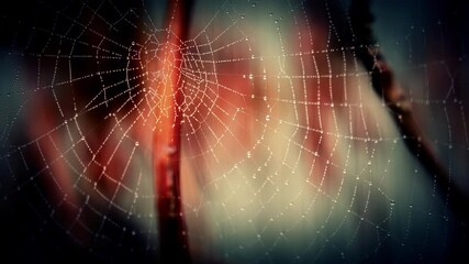 Abstract Spider Web blowing in the wind Stock Footage