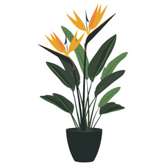 Poster - Potted bird of paradise plant illustration potted leaf vector