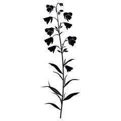 Canvas Print - Wild flower Beardtongue illustration silhouette design vector