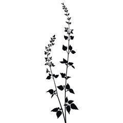 Canvas Print - Wild flower Agrimony illustration silhouette minimalist vector