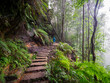 © Tetra Images - Rear view of woman climbing up stone steps in forest