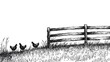 © TawaUStock - Pen and ink drawing, chickens foraging near a wooden fence in a grassy field, the wood grain of the fence detailed with fine lines, blades of grass overlapping with subtle crosshatching, bright white