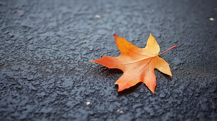 Poster - A single fallen leaf on a perfectly smooth surface