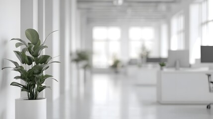 Poster - Modern Office Interior with Green Plants and Bright Natural Light
