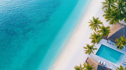 Wall Mural - Aerial view of a serene tropical beach with clear turquoise water and palm trees