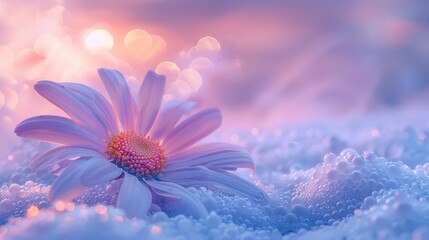 Poster - A delicate flower rests on soft bubbles, creating a dreamy, serene atmosphere.