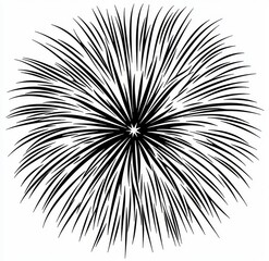 Fototapete - The description and keywords for your image are accompanied by an abstract black and white radial burst design