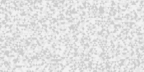 Poster - vector gray polygon mosaic triangle overlap texture background. white and gray overlapping cube squa