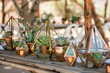 © Azadart - Decorative glass terrariums filled with succulents arranged on a rustic wooden table in an outdoor setting during a sunny day