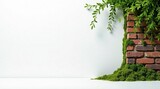 Serene Minimalist Scene Brick Wall Partially Covered in Lush Green Moss and Overgrown with Vibrant Greenery Against a Simple White Background