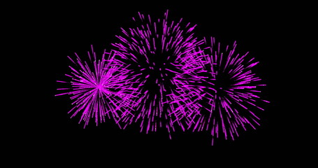 Poster - Pink fireworks image on black background