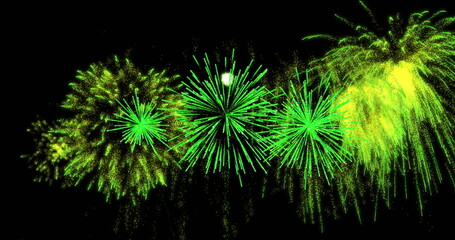 Poster - Green fireworks image bursting against black background