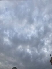 Wall Mural - clouds in the sky