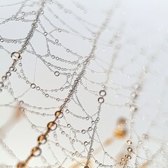 Poster - A mesmerizing close-up of a spiderweb adorned with glistening water droplets, creating a delicate and intricate network against a soft, ethereal background.