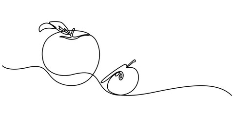 continuous single line drawing of an apple, line art vector illustration, Continuous linear drawing of apple. One line drawing apple. Apple in one line style. Vector illustration. A simple continuous.