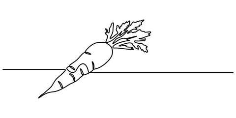 Fototapete - Simple carrot in continuous one line art drawing icon isolated on white background vector illustration, Growing carrot plant minimalist outline vector, one line drawing carrot vegetable vector pro. 