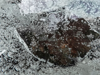 Poster - ice texture with cracks, bubbles and frozen leaves for computer graphics, texturing, compositing or 