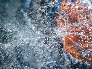 Poster - ice texture with cracks, bubbles and frozen leaves for computer graphics, texturing, compositing or 