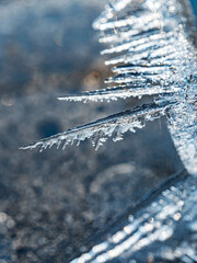 Poster - close up macro shot of tiny ice formations around an ice block