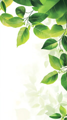 Aufkleber - Vibrant green leaves form a refreshing frame against a clean white backdrop, perfect for nature-themed designs