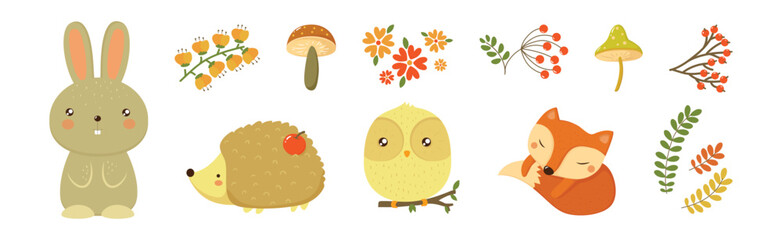 Poster - Autumn Forest and Woodland Object and Element Vector Set