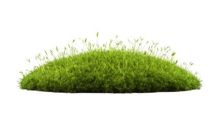 Aufkleber - Oval patch of vibrant green grass with transparent background, perfect for architectural visualization or landscape design