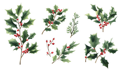 Poster - Hand-painted watercolor illustration featuring holly branches with vibrant red berries, perfect for Christmas designs, set against a transparent background