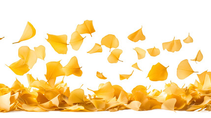 Poster - Yellow ginkgo leaves gently cascading and gathering against translucent backdrop, embodying seasonal autumn elegance