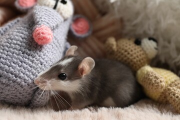 Wall Mural - Adorable little rat and crocheted toys on faux fur