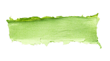 Leinwandbilder - Horizontal banner of torn green watercolor paper with transparent background, ideal for adding a touch of color to designs