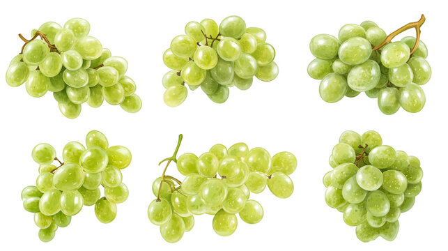 Graphic rendering featuring ripe green grape clusters against transparent backdrop