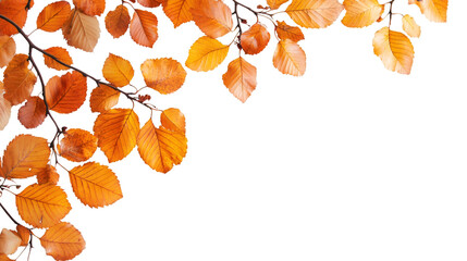Aufkleber - Beautiful orange autumn leaves creating a frame on a transparent background, perfect for fall-themed designs