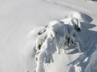 Wall Mural - Winter Landscape of Vitosha Mountain, Bulgaria