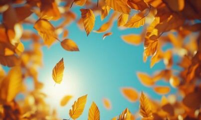 Wall Mural - golden autumn leaves on vibrant blue sky, showcasing the vivid colors of the season and nature's bea