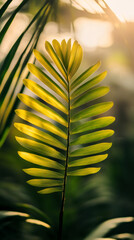 Poster - Tropical palm leaf backlit by golden sunlight, casting vibrant green shadows and radiant warm illumination