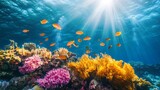 Underwater Coral Reef with Sunlight Rays. Vivid marine life. Scenic underwater scene. Possible use Stock photo