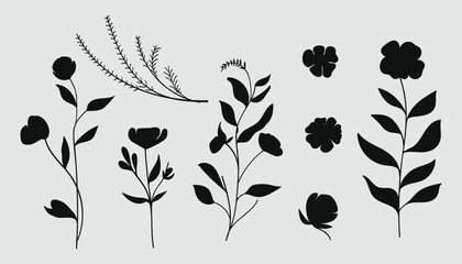 Wall Mural - Aesthetic silhouette botanical flower and leaves.