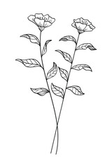 Wall Mural - Tree branch and flower botanical line art nature element.Vector illustration.