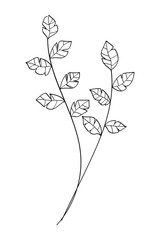 Wall Mural - Tree branch botanical line art nature drawing