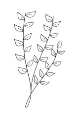 Wall Mural - Tree branch with flowers and leaves isolated on white background. Vector illustration