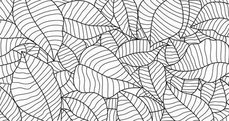 Wall Mural - Intricate hand-drawn leaves pattern in black isolated on white background.Vector illustration.