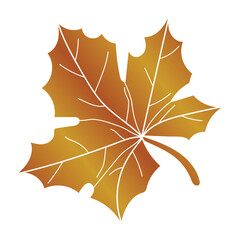 Wall Mural - autumn red maple leaf.autumn maple leaf.vector illustration