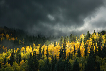 Wall Mural - morning mist in the mountains