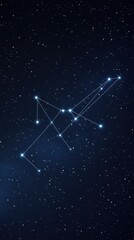 Wall Mural - sagittarius constellation depicted with connected lines against a starry sky