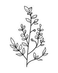 Wall Mural - Branch of a plant with flowers and leaves. Hand drawn vector illustration.