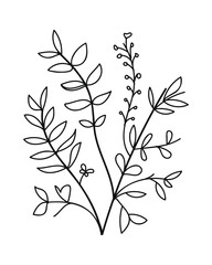 Wall Mural - Tropical floral line art. Design element with tropical and floral theme.