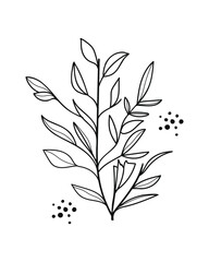 Wall Mural - Twigs with Leaves in a Botanical hand drawn.Vector illustration