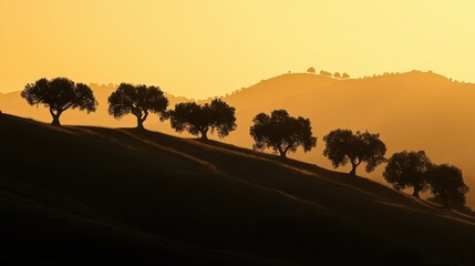 Wall Mural - Golden Sunset Silhouette Of Trees On Rolling Hills