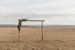 © xbzz - Rustic wedding ceremony arch decorated with flowers countryside outdoor wide angle romance