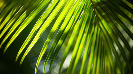 Wall Mural - Lush green palm leaves create vibrant and tropical atmosphere, showcasing intricate textures and patterns in natural light